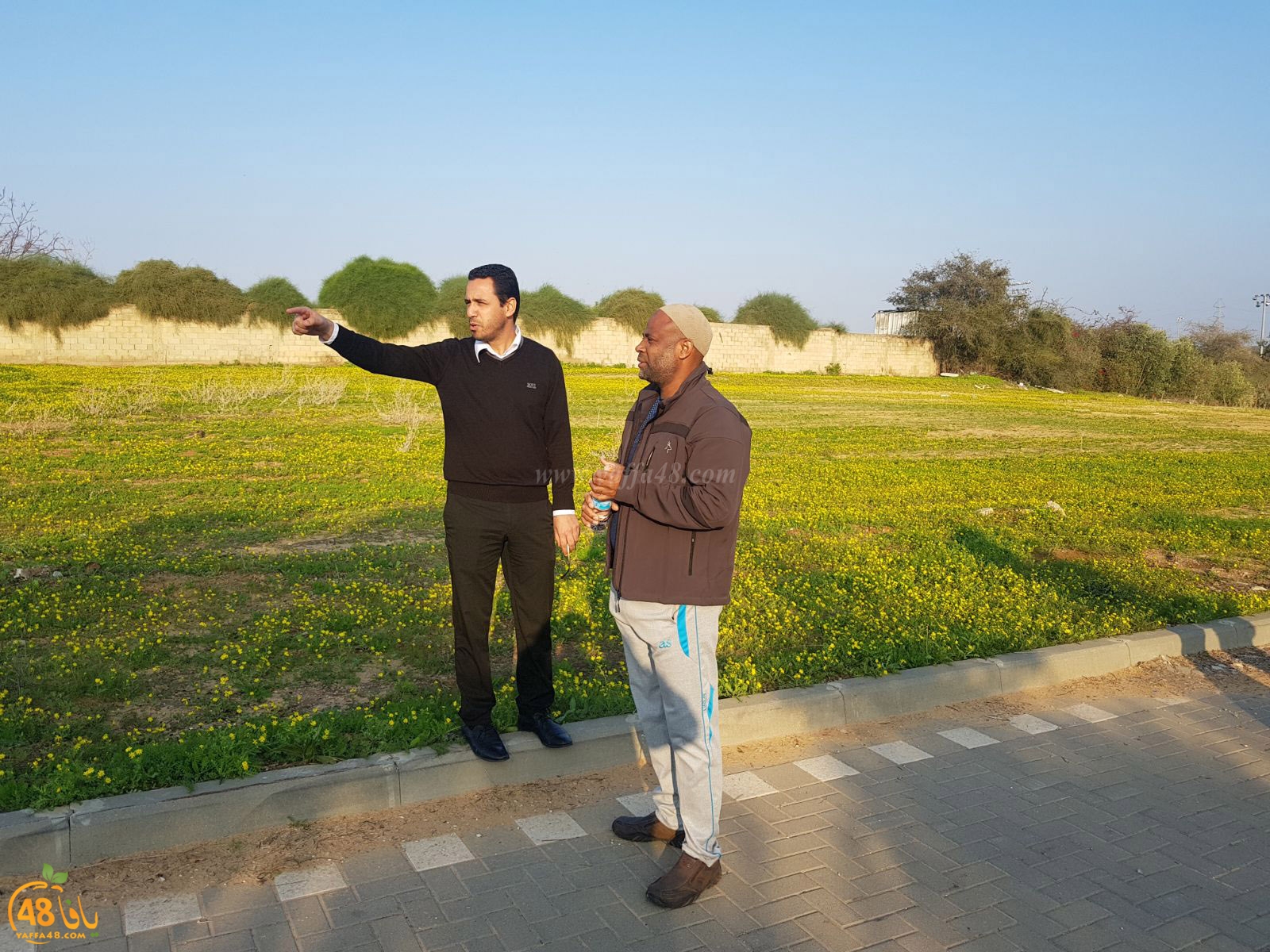 tasoo lajna ivsiti (3).jpg